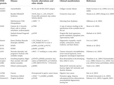 The LEM-ESCRT toolkit: Repair and maintenance of the nucleus